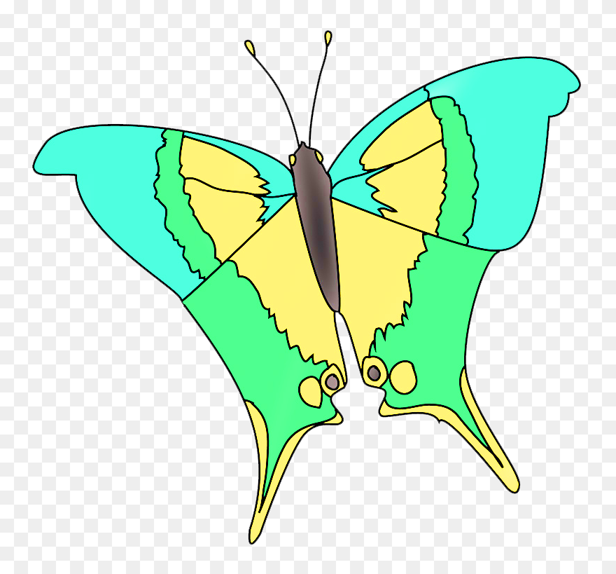 Marpesialole Butterfly Fantasy Colors Clipart