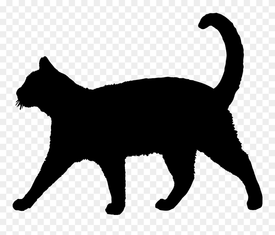 Transparent Cat Silhouette Clipart - Cat Silhouette - Png Download