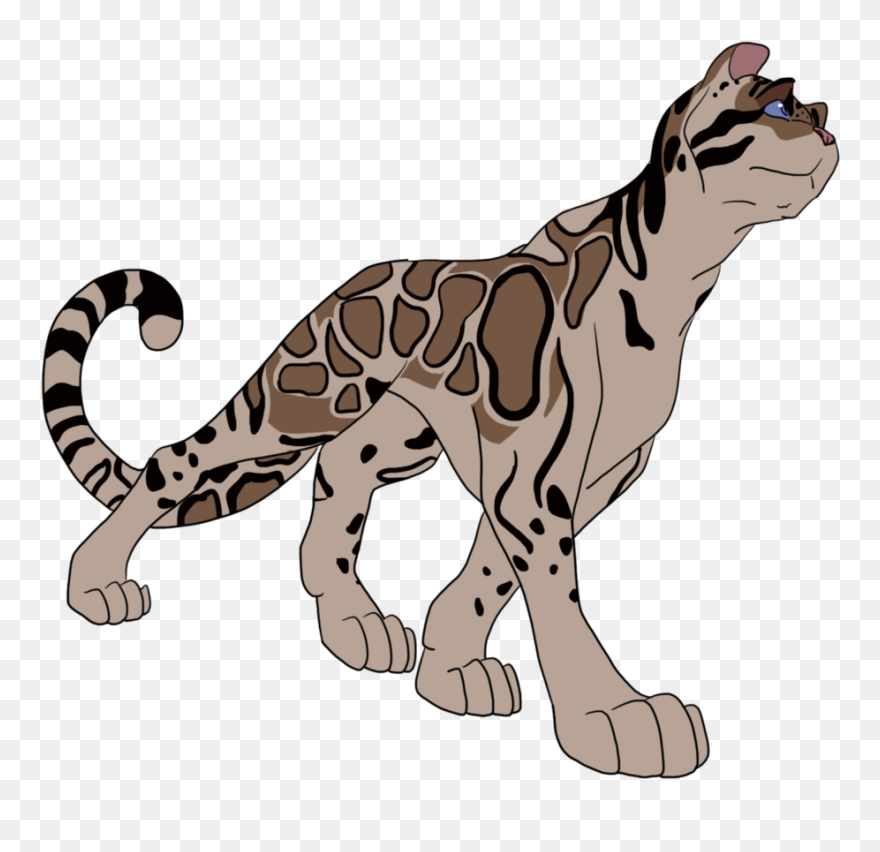 Leopard Clipart Leopard Face - Clouded Leopard By Deviantart - Png Download