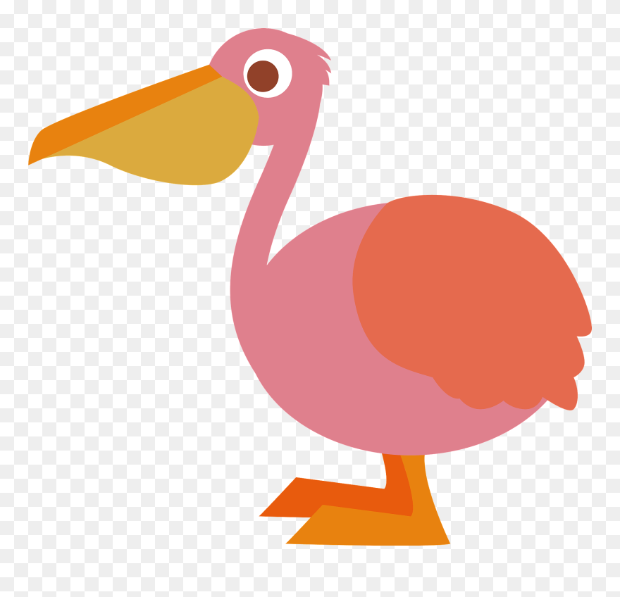 Pelican Clip Art - Png Download