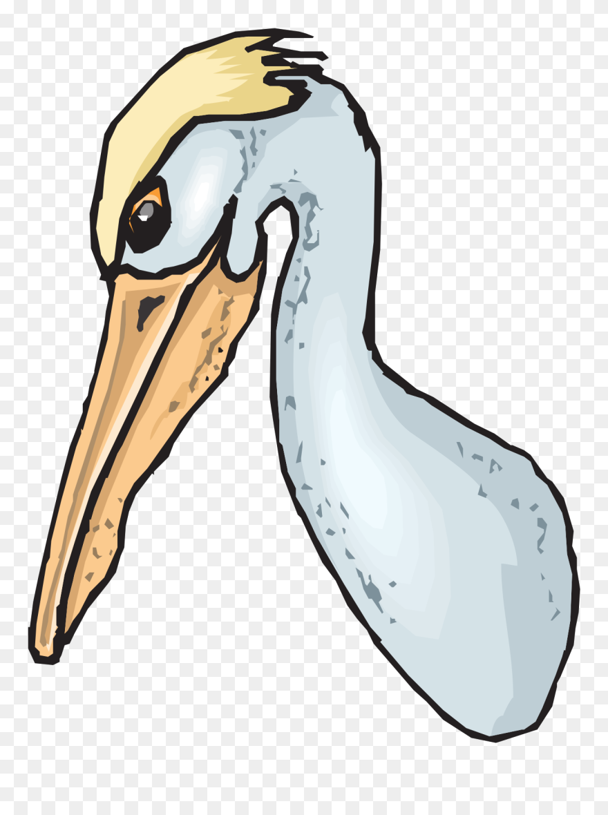 Pelican Clip Art - Png Download