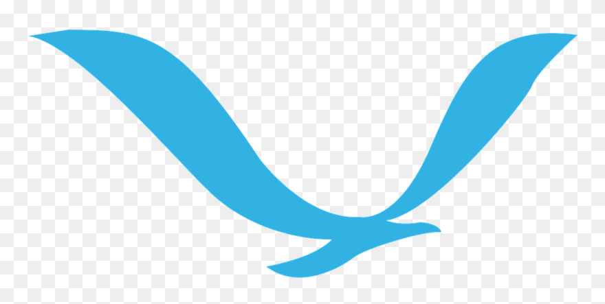 Seagull Bird Png Transparent Clipart