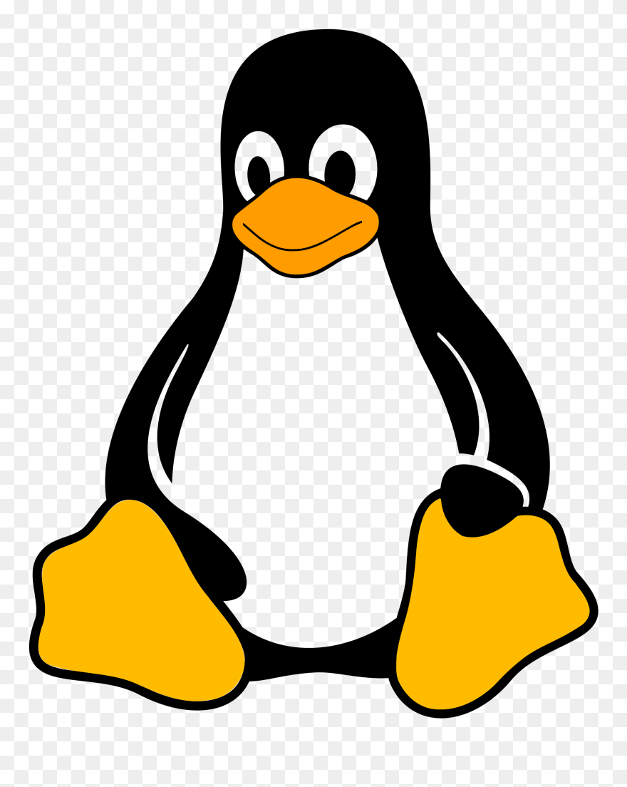 Penguin Clipart Profile, Penguin Profile Transparent - Png Download