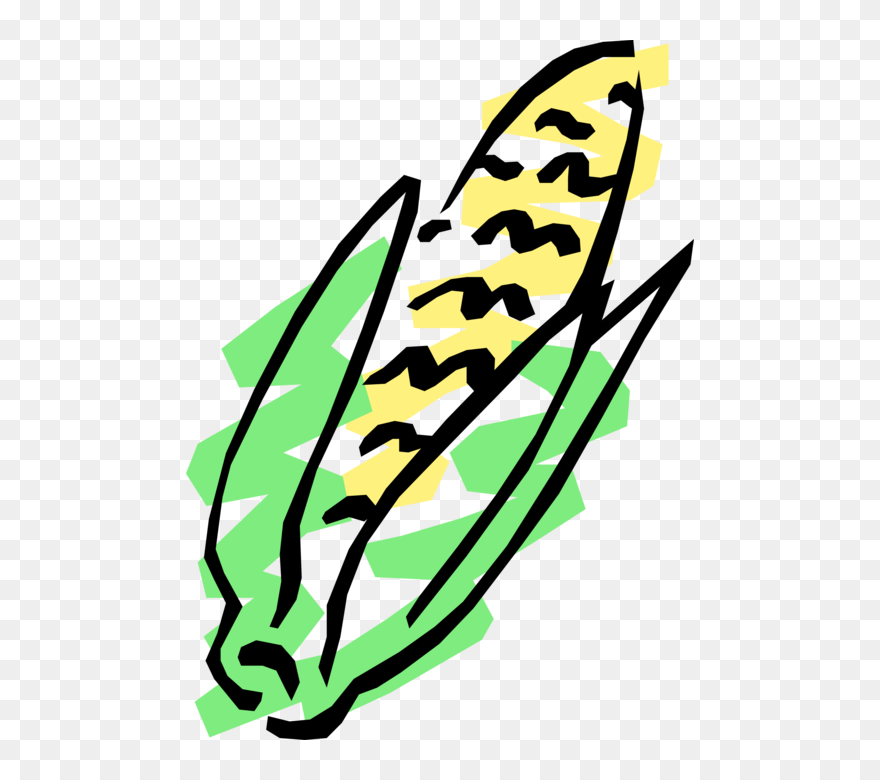 Vector Illustration Of Corn On The Cob Grain Plant Clipart