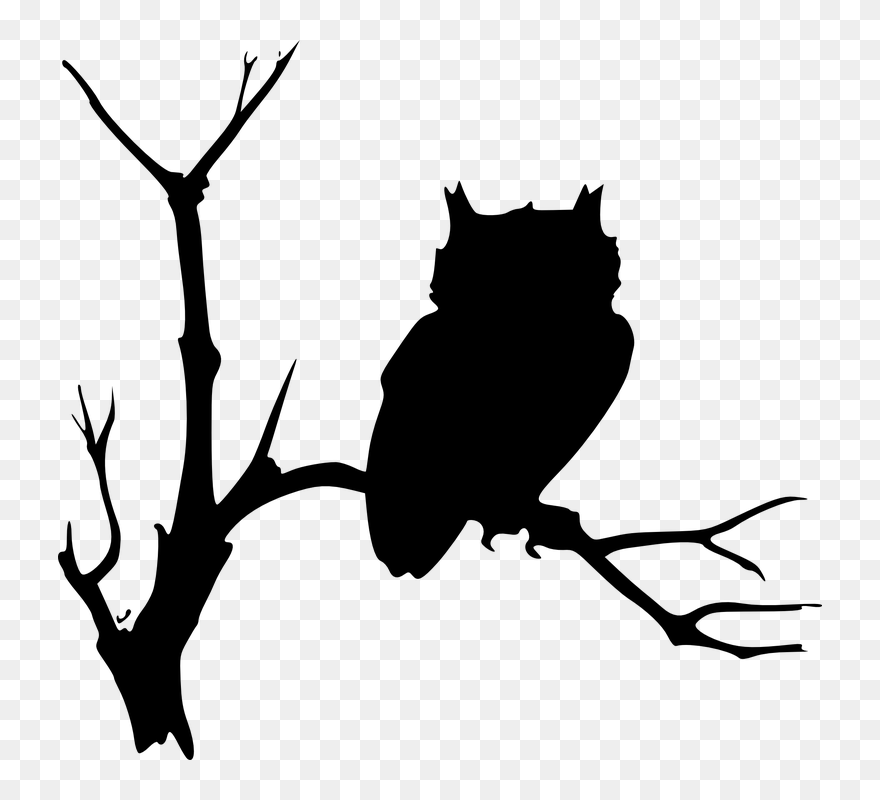 Transparent Vintage Halloween Clipart - Owl On Branch Silhouette - Png Download