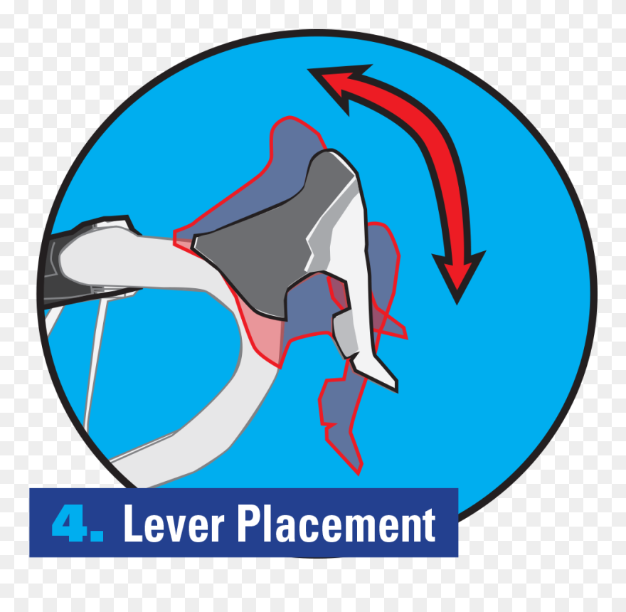 Clip Art - Png Download