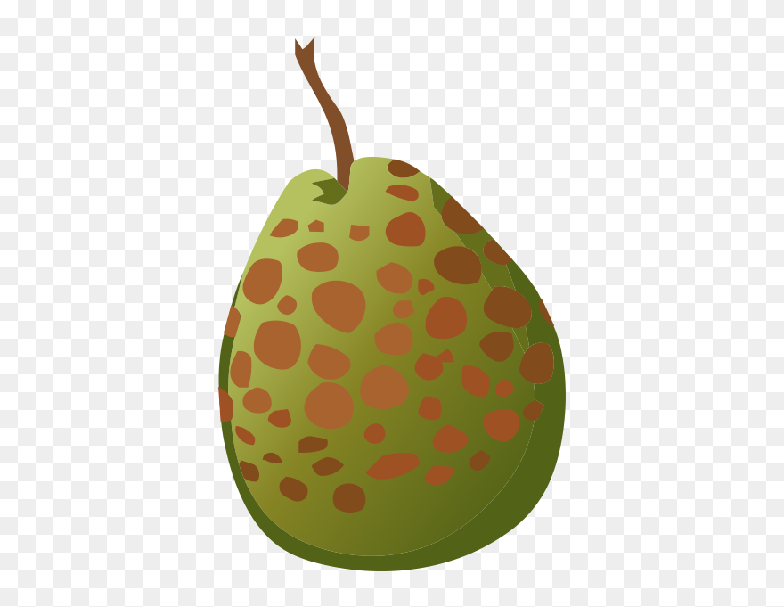 Guava Spotted - Food Clipart