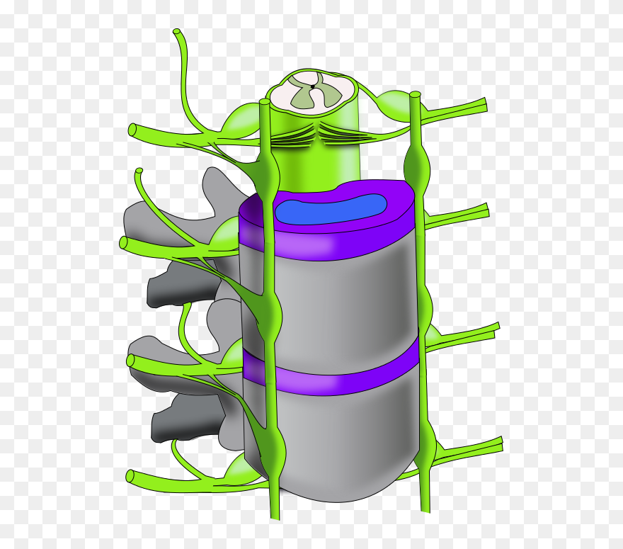 Regeneration - Clipart