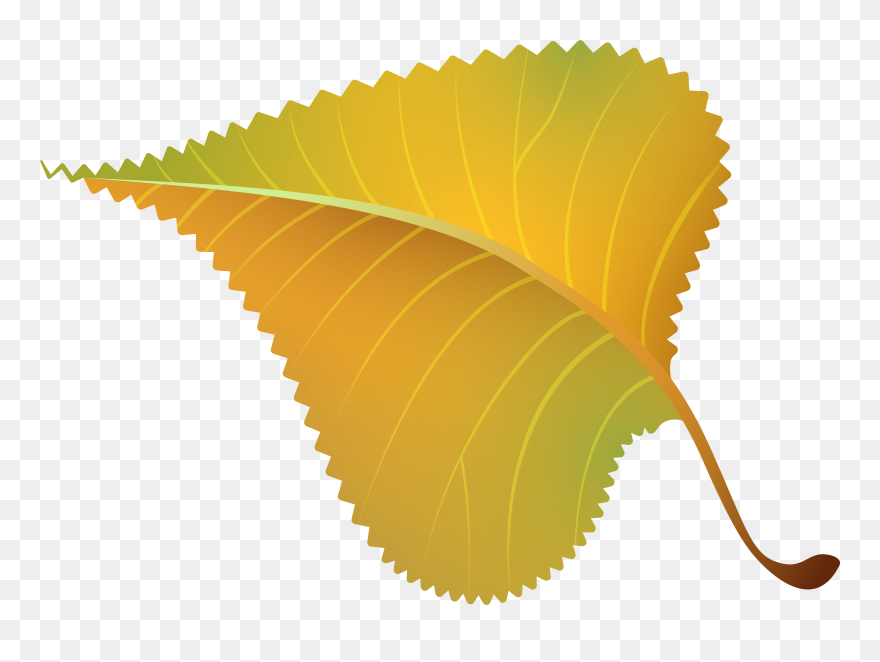 Fall Yellow Leaf Png Clipart Image - Mountain Bike Wheel Design Transparent Png