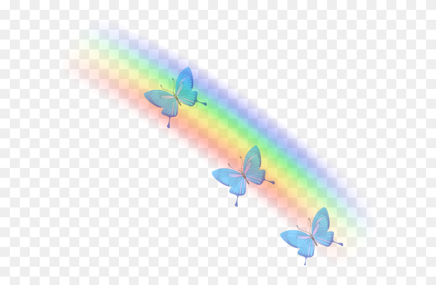 19 Rainbow Butterfly Clipart Picsart Free Clip Art - Lycaenid - Png Download