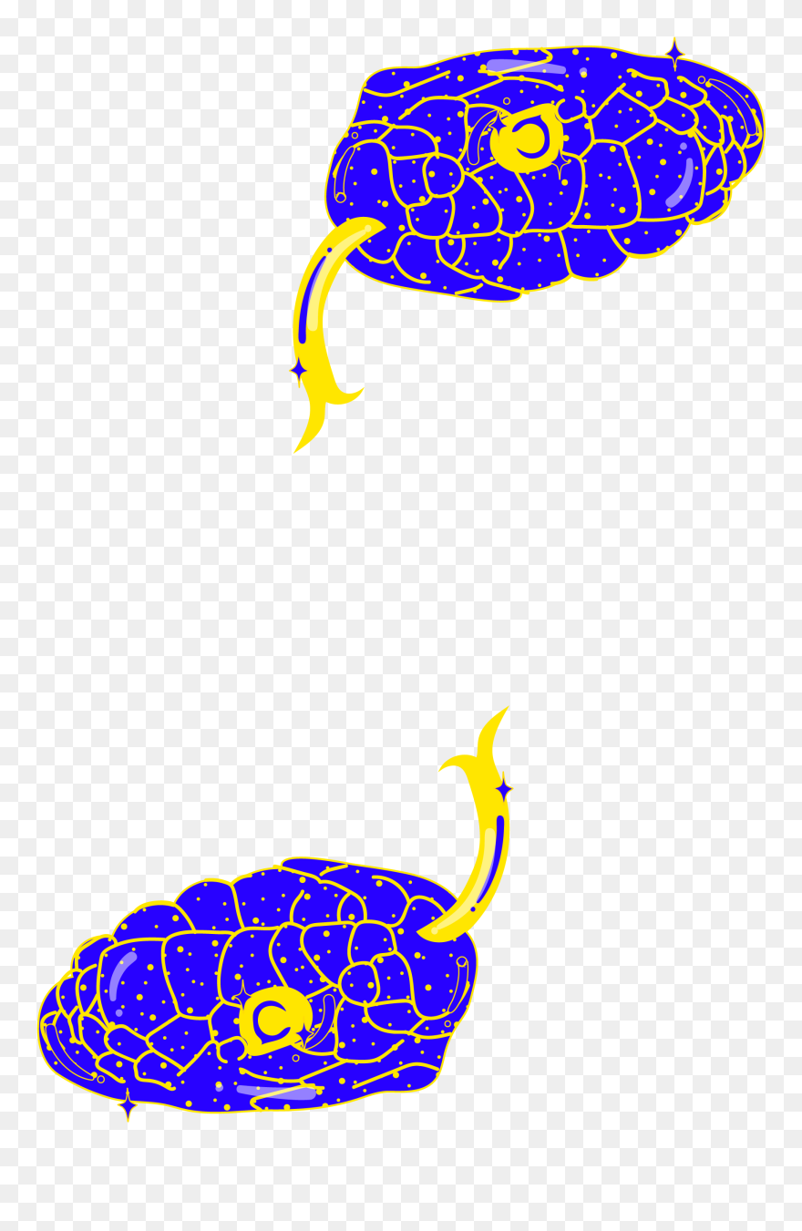 Chinese Astrology Clipart