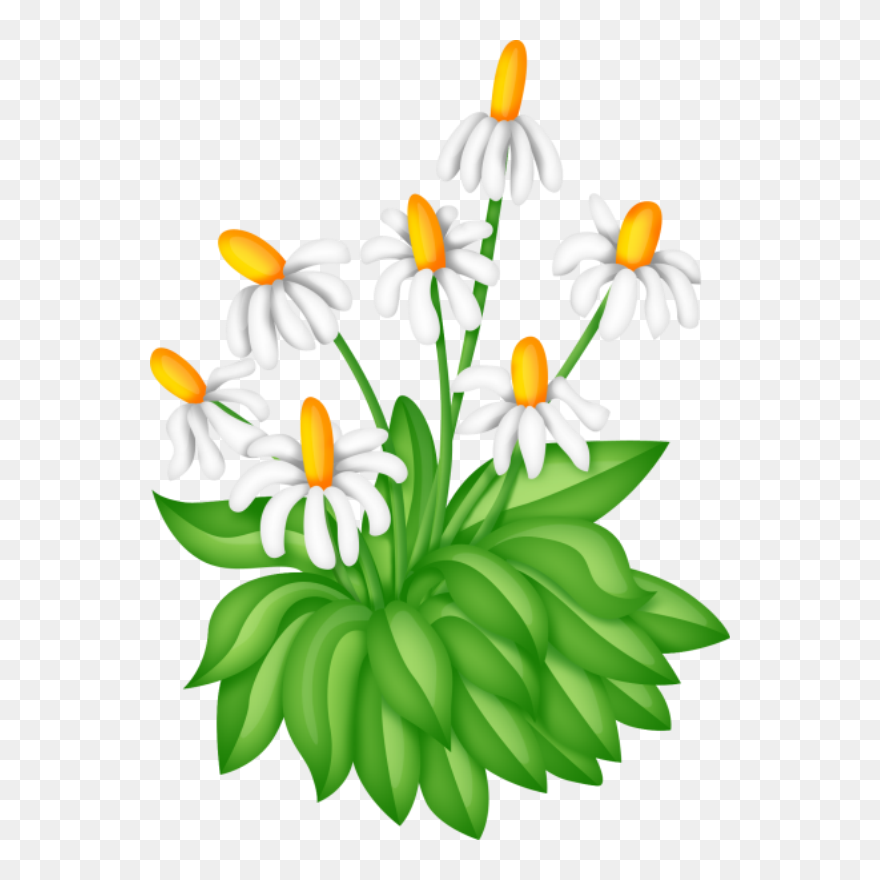 Drawing Flowering Bush Clipart Free - Png Download