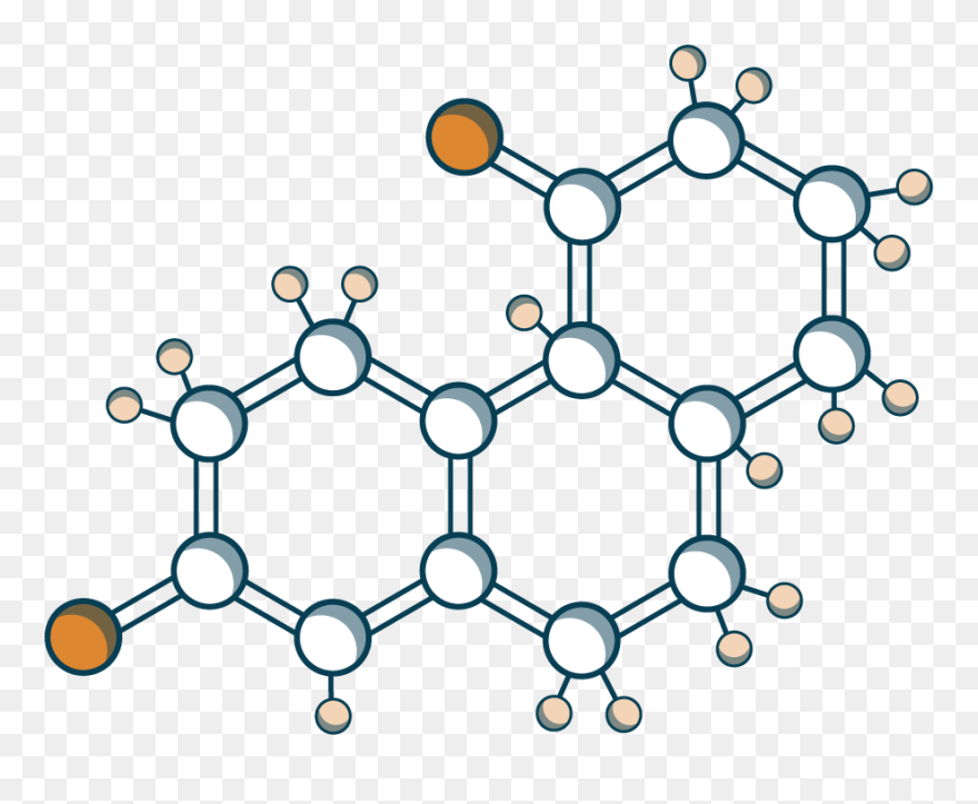 Maui, Lahaina, Cream, Text, Circle Png Image With Transparent Clipart