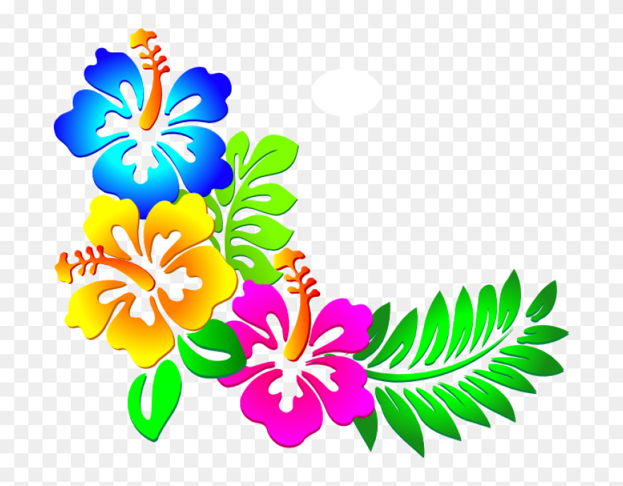 Hawaii Border Cliparts - Colour Corner Design Png Transparent Png