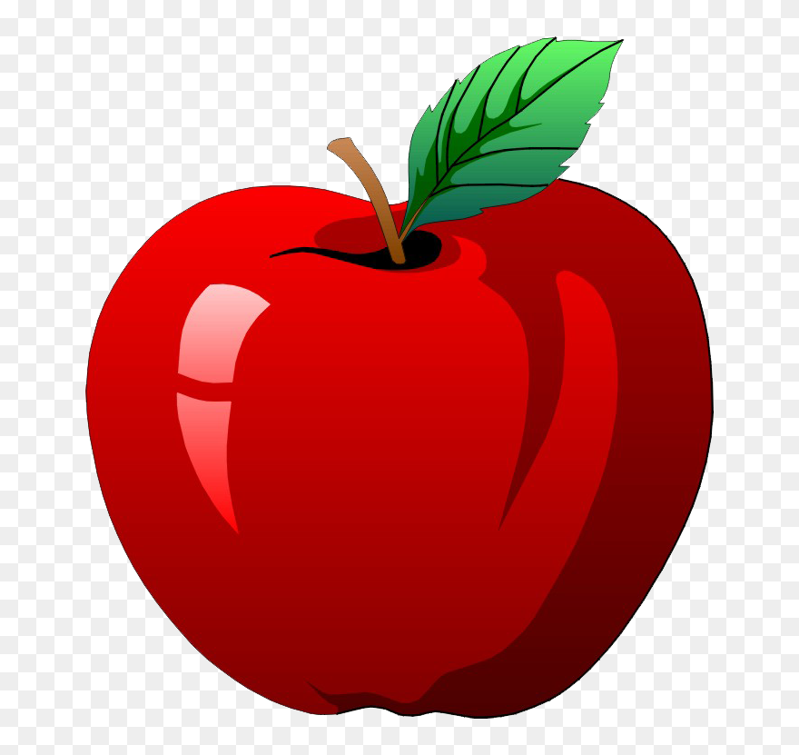 Apple Drawing Png Clipart