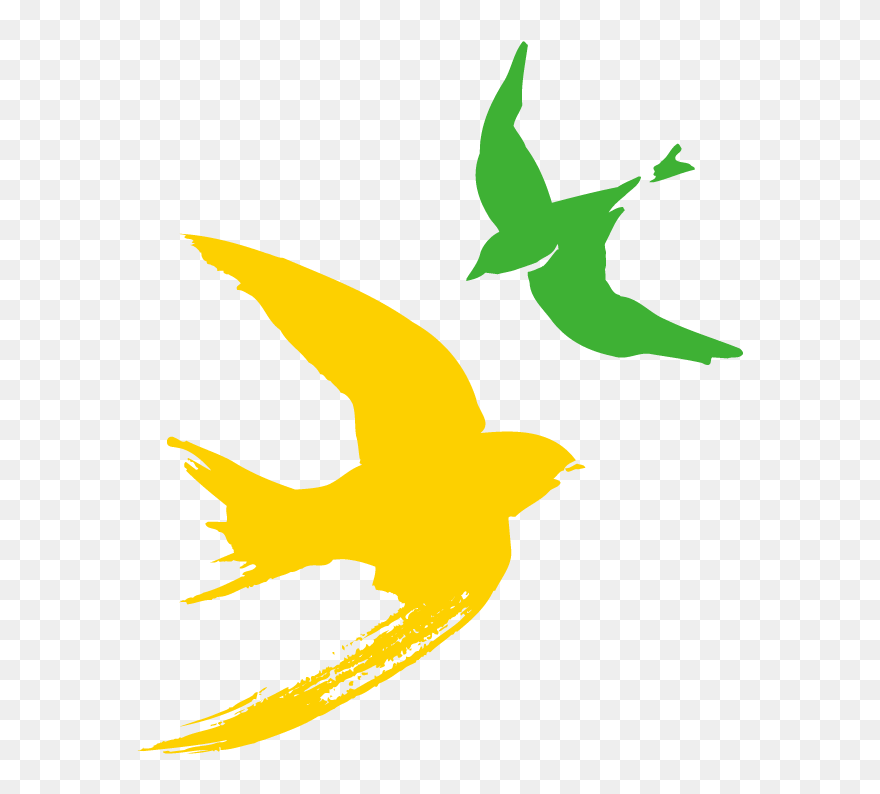 Bird Flight Clip Art - Creyf's - Png Download