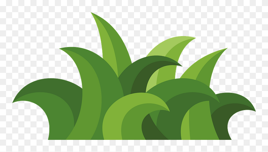 Clip Art - Png Download