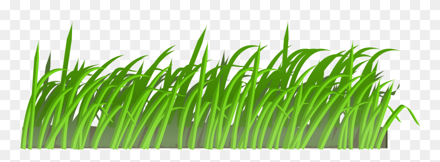 Lawn Mowers Animation Clip Art - Lawnmower And Grass Cartoon - Png Download