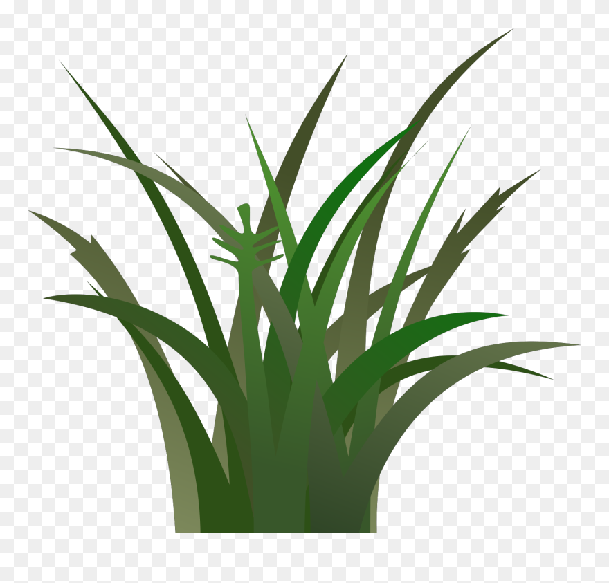 Animated Picture Of Grass Clipart