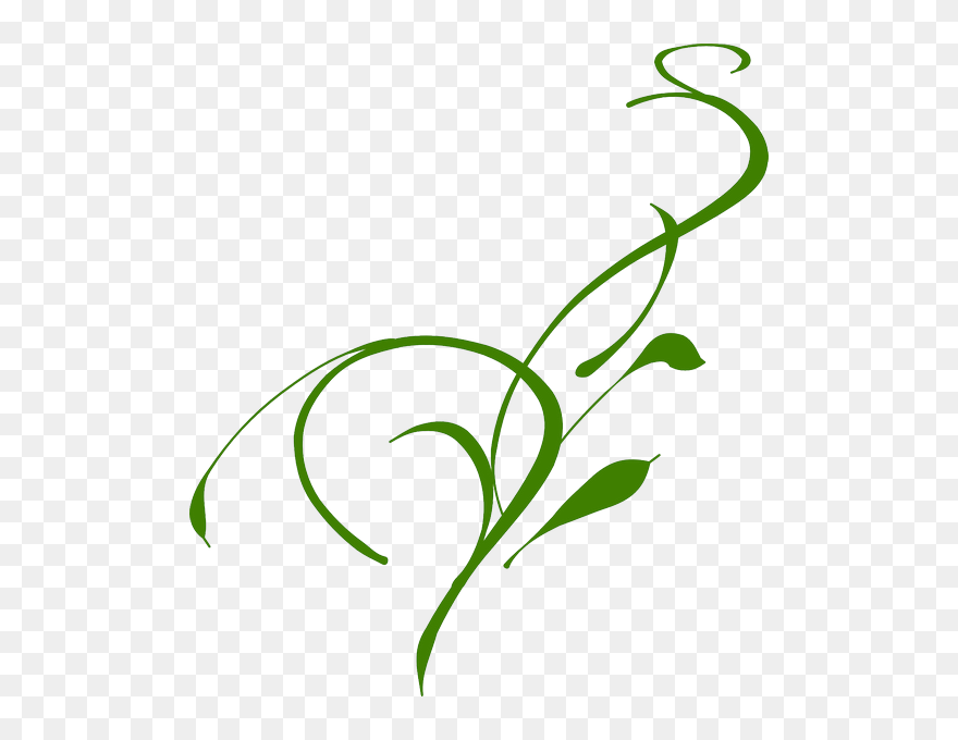 Vine Clip Art - Png Download