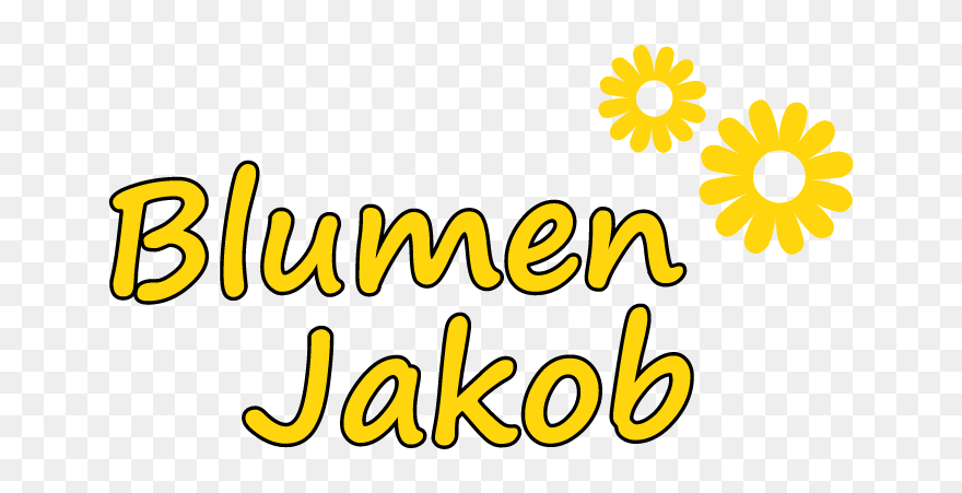 African Daisy Clipart