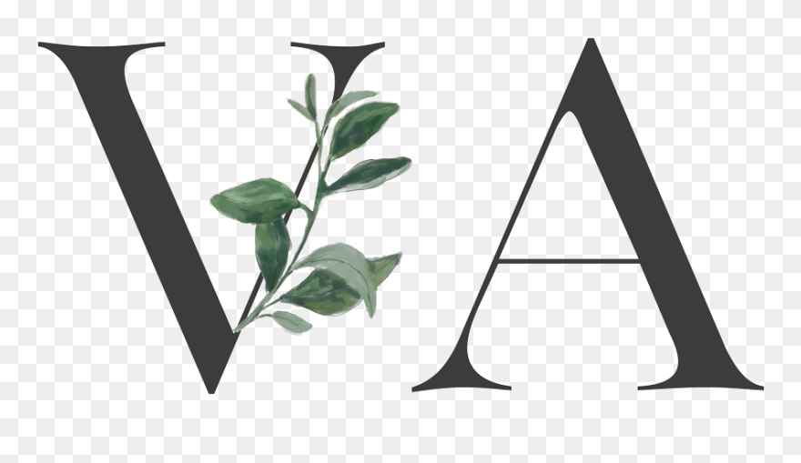 Va Für Veronika Anna Fotografie Im Neuen Logo Der Hochzeitsfotografin - Sign Clipart