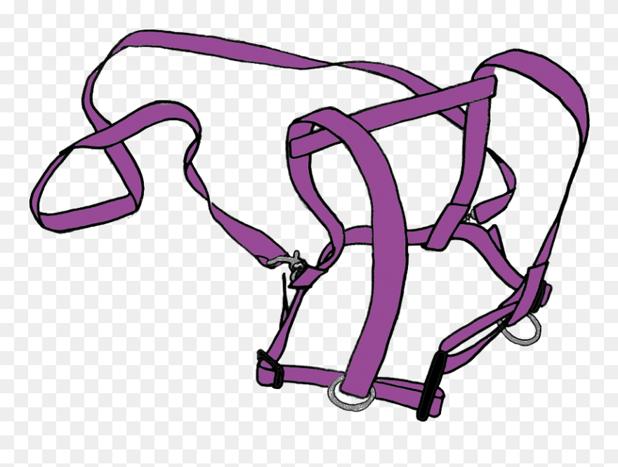 Clip Art - Png Download