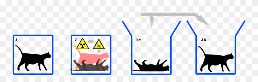 Physics, Schrödinger"s Cat, Schrödinger - Schrodinger's Cat Clipart