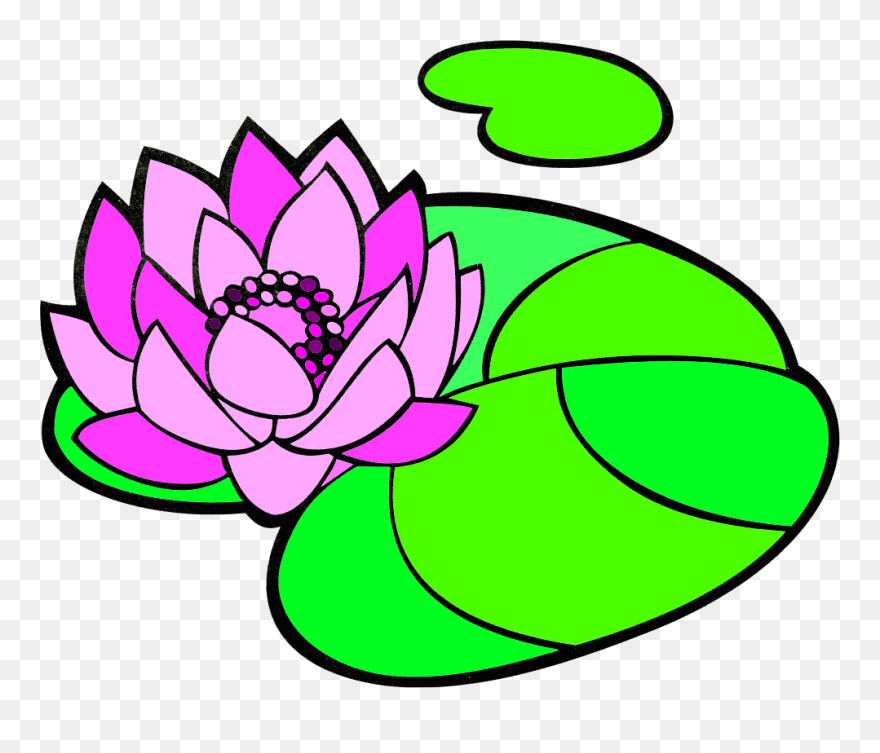 Кувшинка Раскраска Для Детей Clipart