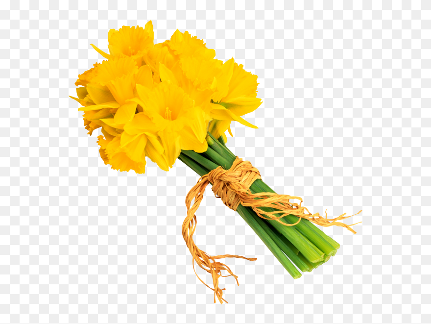 Blumenstrauß Aus Narzissen - Daffodil Clipart