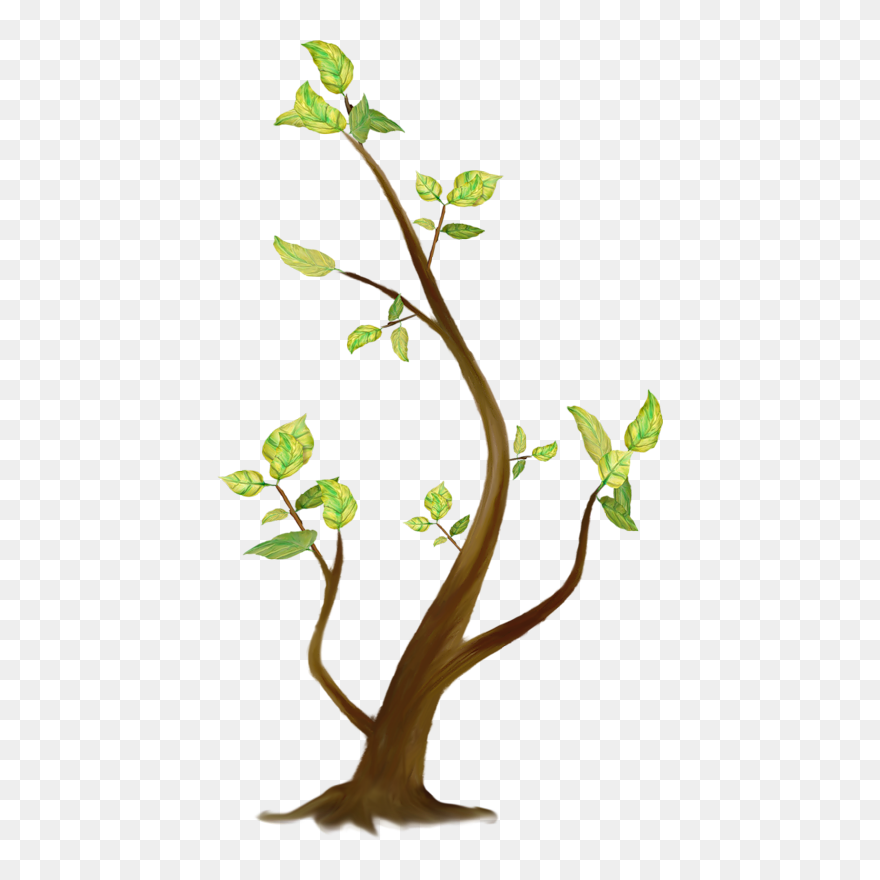 Tree Clipart