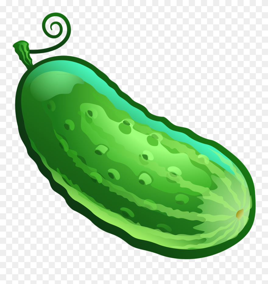 Огурец Картинка Для Детей Clipart