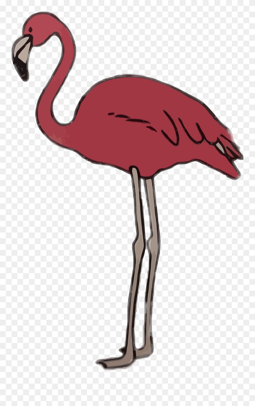 Flamingo Sommer Rosa Greater Flamingo Clipart - Greater Flamingo - Png Download