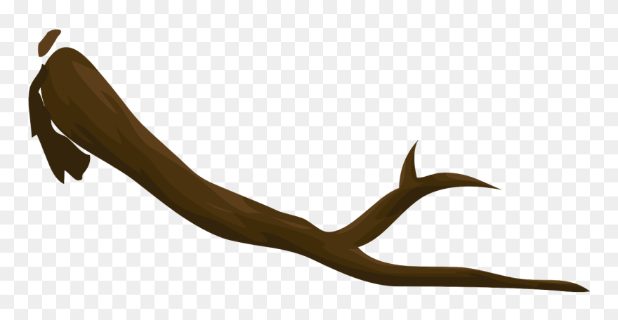 Branche Bois Png Clipart