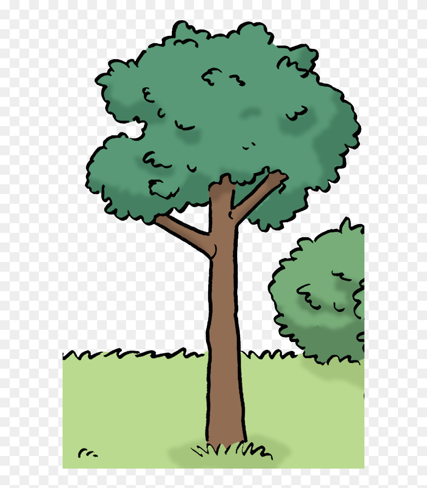 Sie Sehen Ein Bild Von Einem Baum - Cartoon Clipart