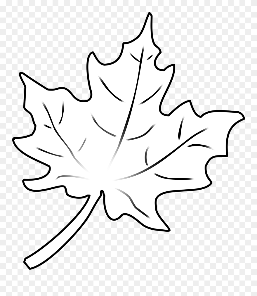Fall Leaf Outline Png Clipart