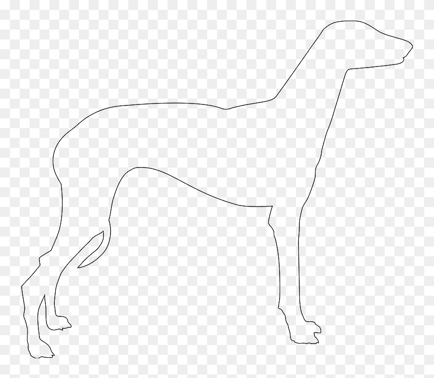 Greyhound White Silhouette Clipart