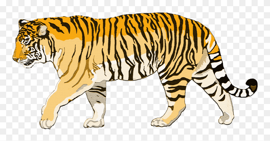 Transparent Blood Dripping Transparent Png - Bengal Tiger Walking Png Clipart