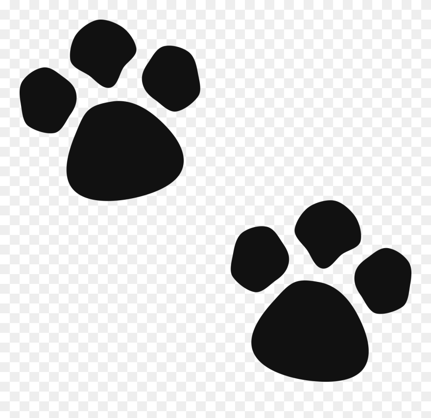 #paws #puppy #paw #dog #pet #freetoedit - Cute Dog Paw Drawing Clipart