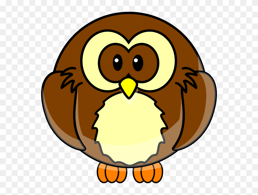 Cartoon Owl Clipart