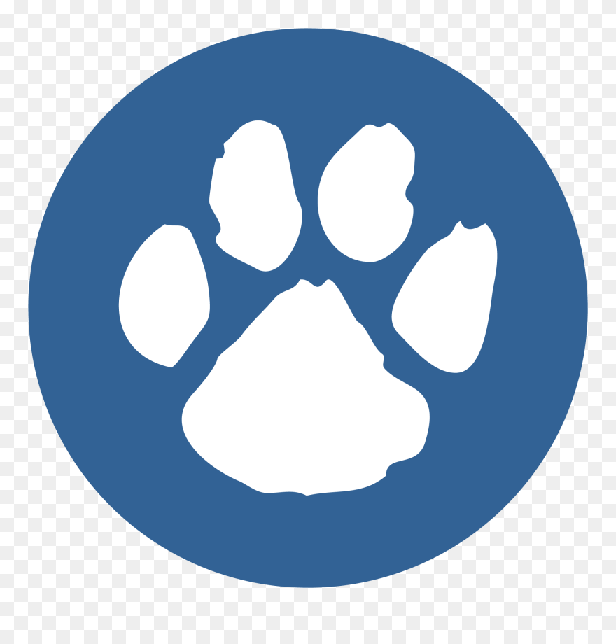 Transparent Souper Bowl Clipart - Miraculous Black Cat Logo - Png Download