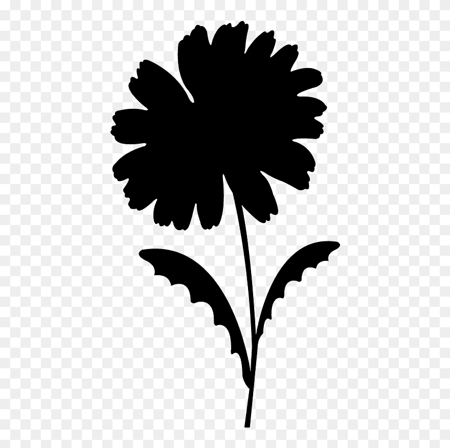 Common Daisy Clipart