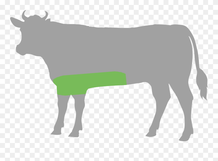 Beef Cuts Clipart