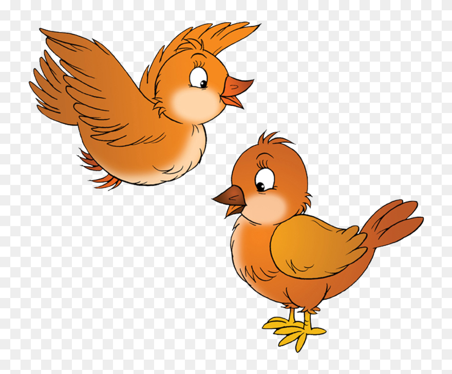 Drawing Cartoon Bird With Nest Clipart