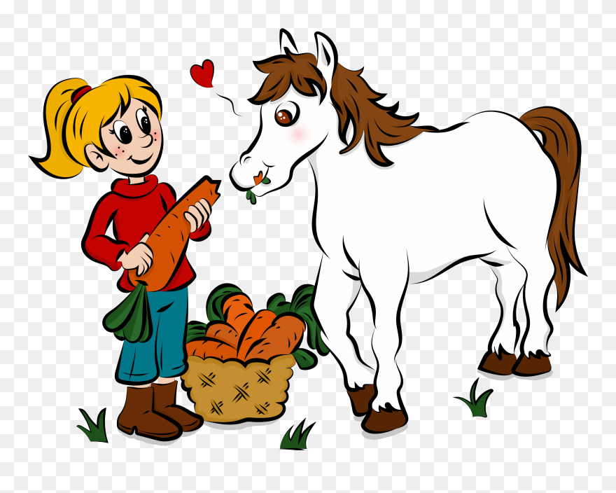 Hest Png Tegning Clipart