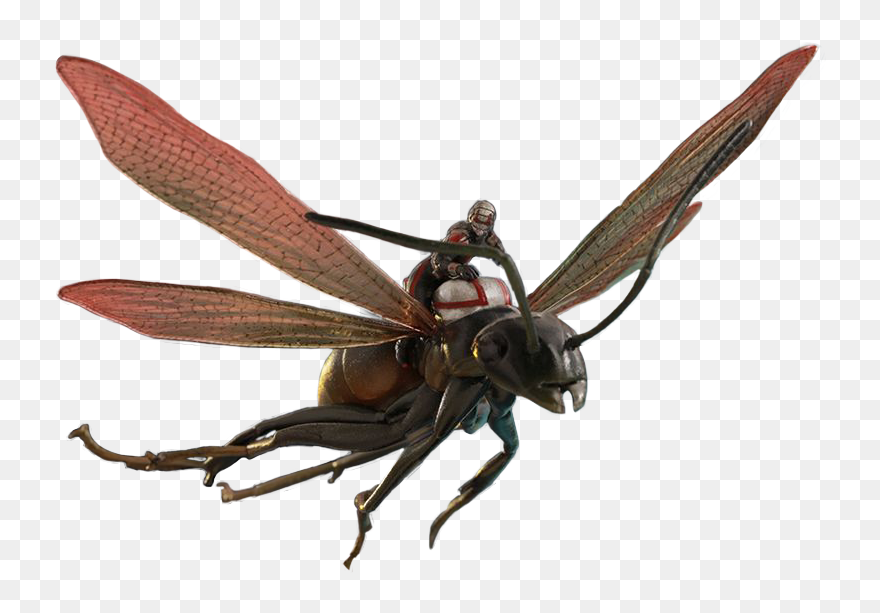 Ant Man And The Wasp Png - Ant Man Png Clipart