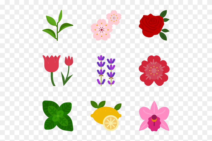 Flower Icons Png Clipart