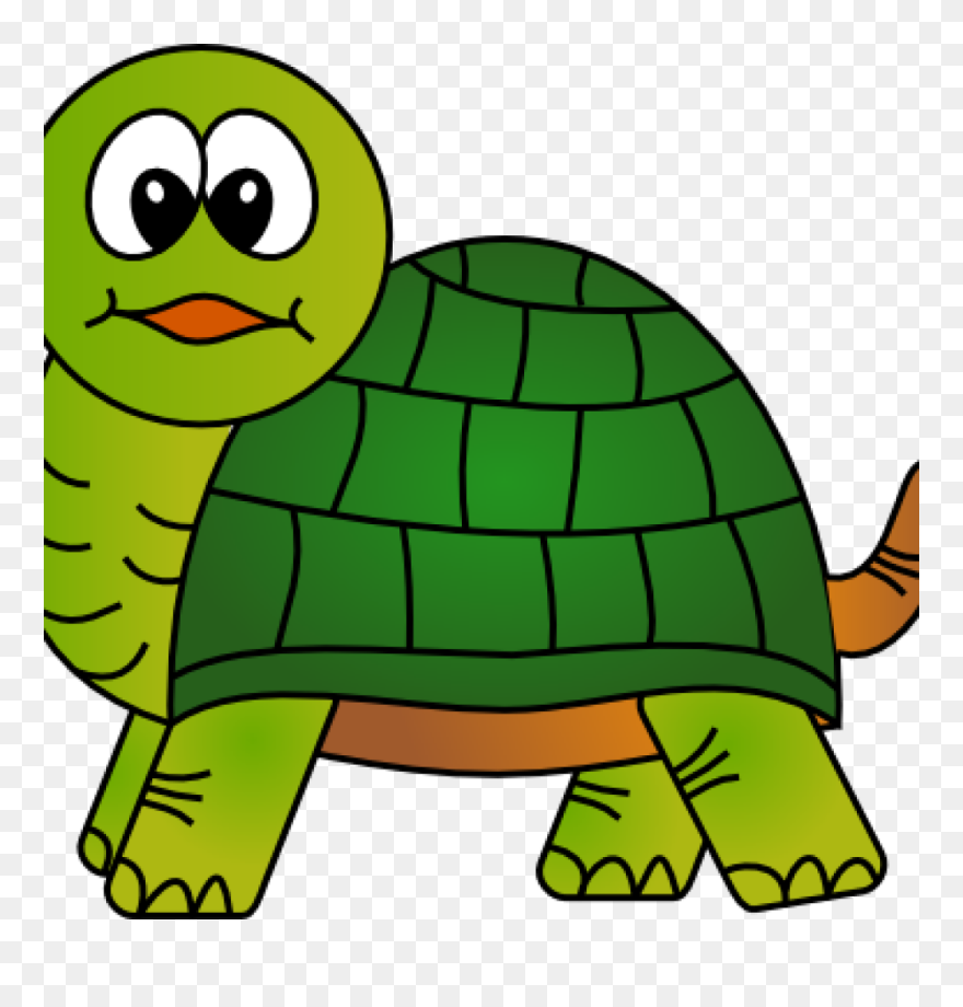 Cute House Hatenylo Com - Turtle Clipart - Png Download