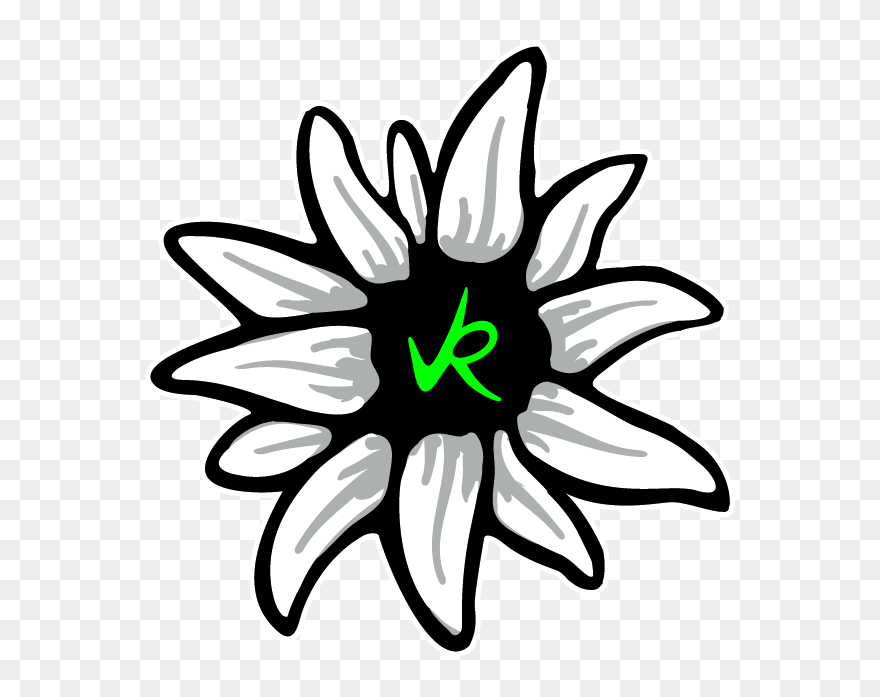 Edelweiss Flower Clipart - Png Download