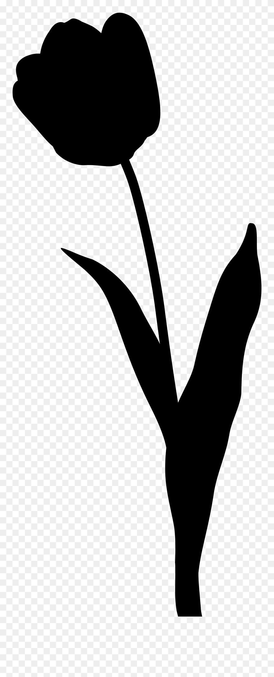 Flowering Plant Clip Art Silhouette Line - Tulip - Png Download